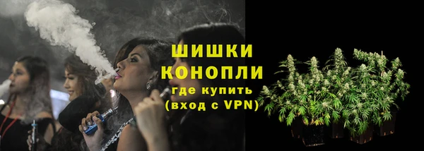 мяу мяу мука Елизово