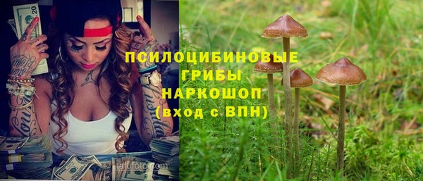 PSILOCYBIN Киреевск