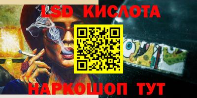прущие грибы Кунгур