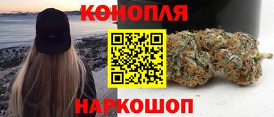 прущие грибы Кунгур