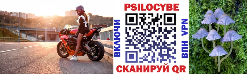 Псилоцибиновые грибы Psilocybine cubensis  дарнет шоп  Зеленодольск 